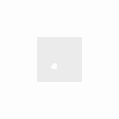 Export Image